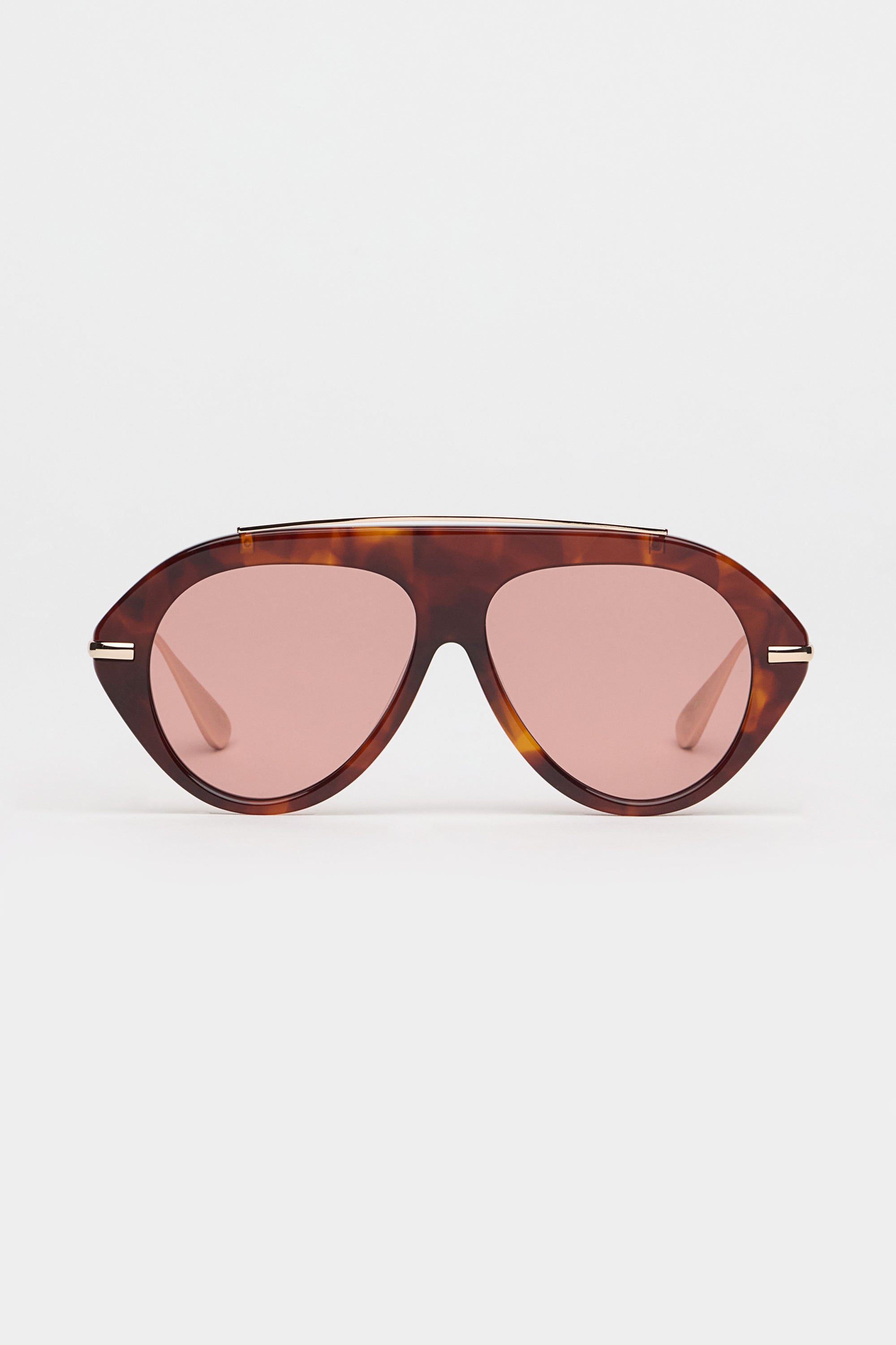 The Icon 2.0 Sunglasses in Tortoise – Past Midnight