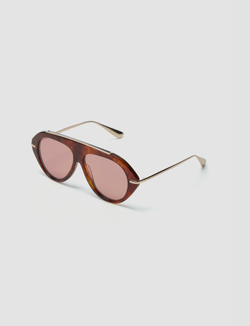 The Icon 2.0 Tortoise
