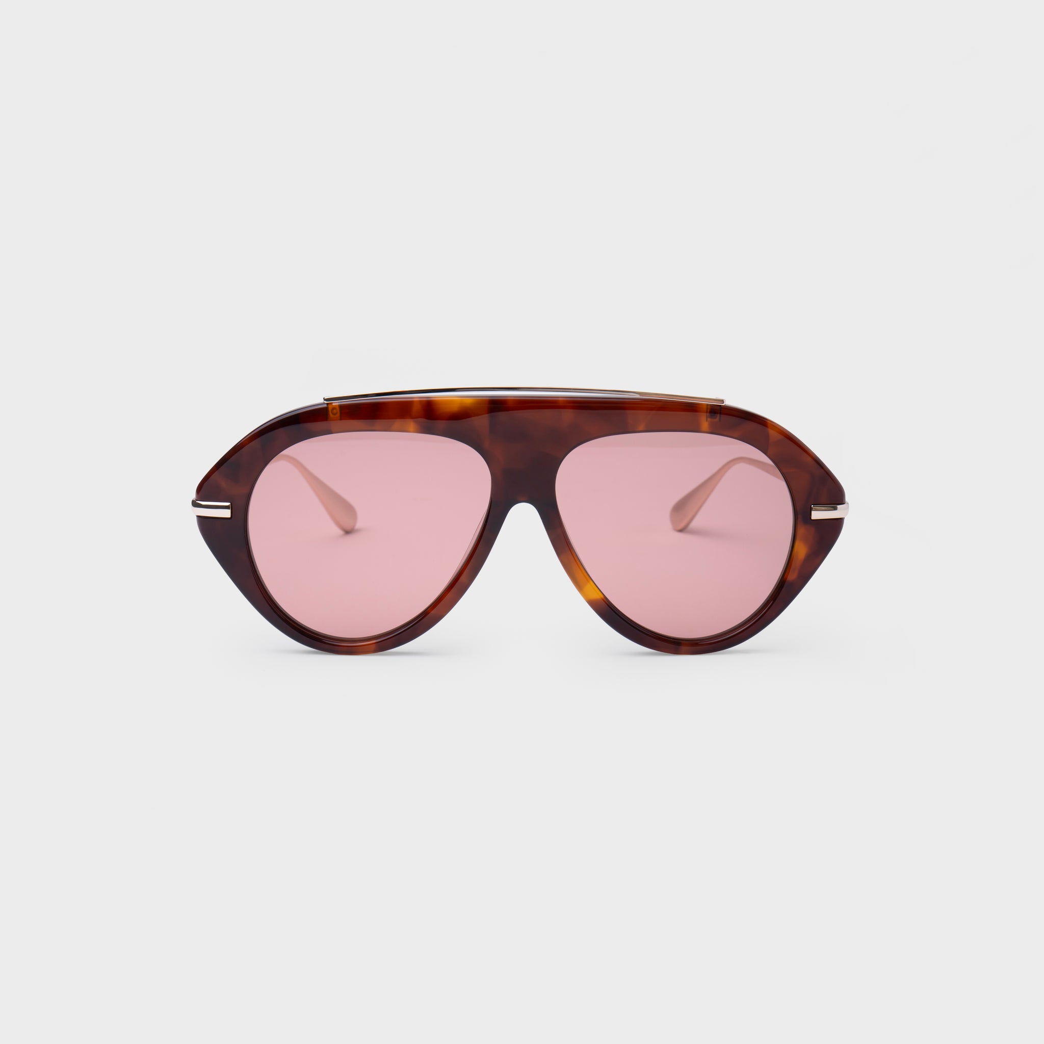 The Icon 2.0 Sunglasses in Tortoise display picture 1