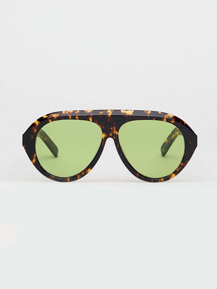 Past Midnight The Icon Tortoise.
