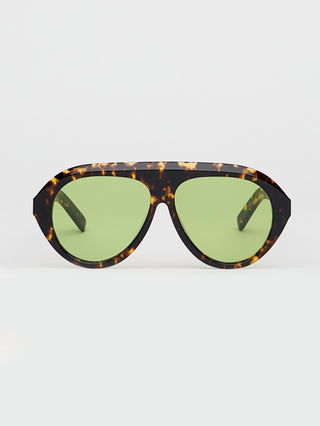 Past Midnight The Icon Tortoise.