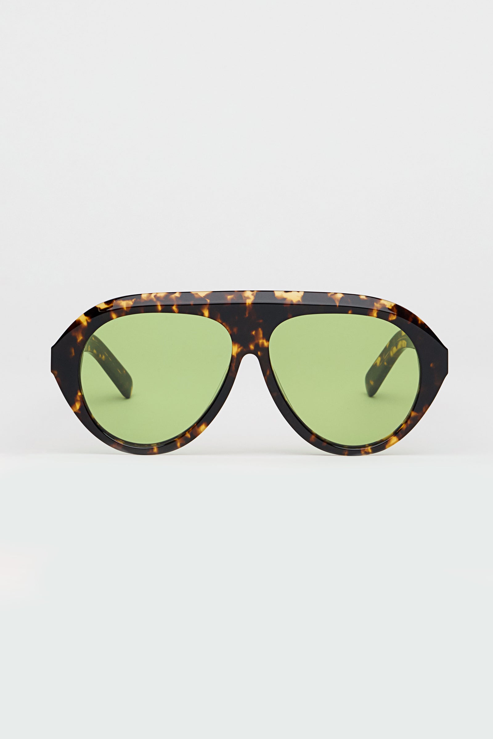 Past Midnight The Icon Tortoise.