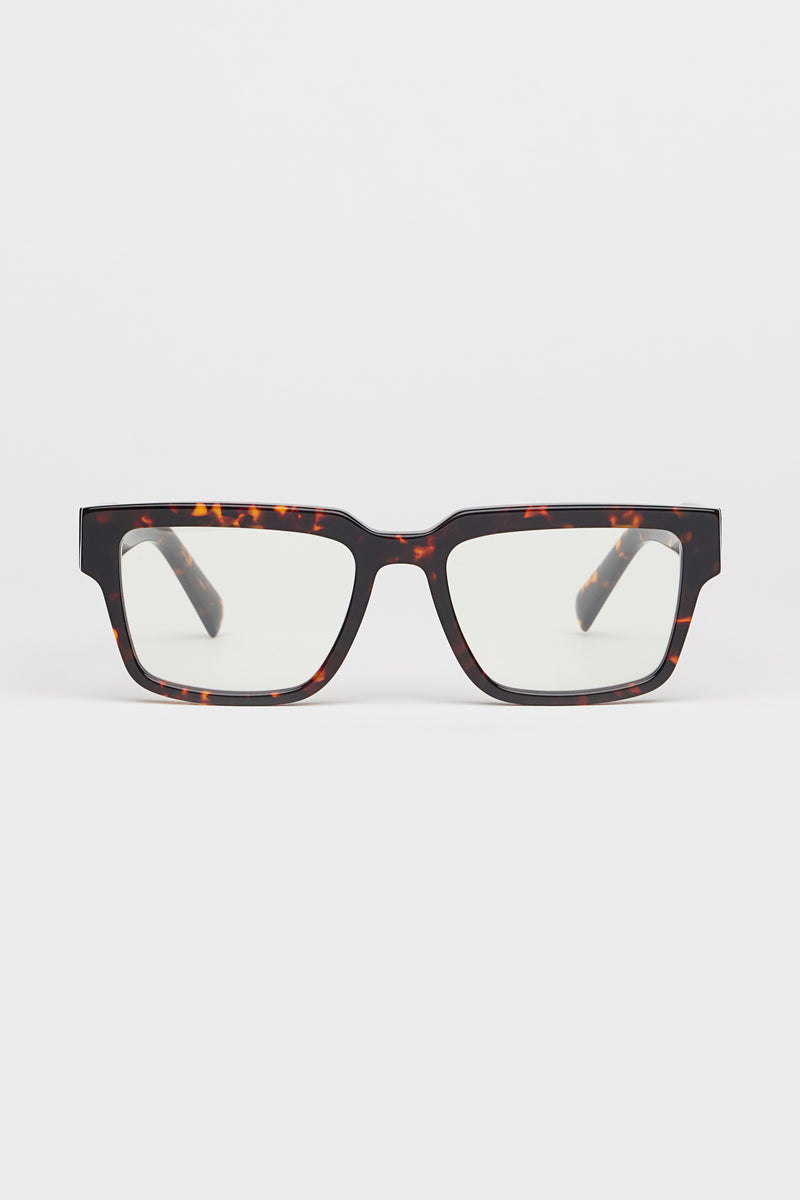 Past Midnight The Frame Tortoise.