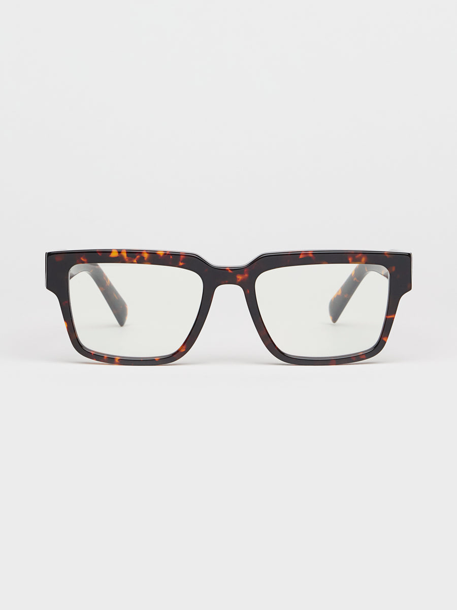 Past Midnight The Frame Tortoise.