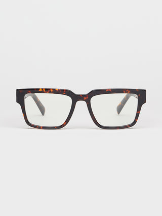 Past Midnight The Frame Tortoise.