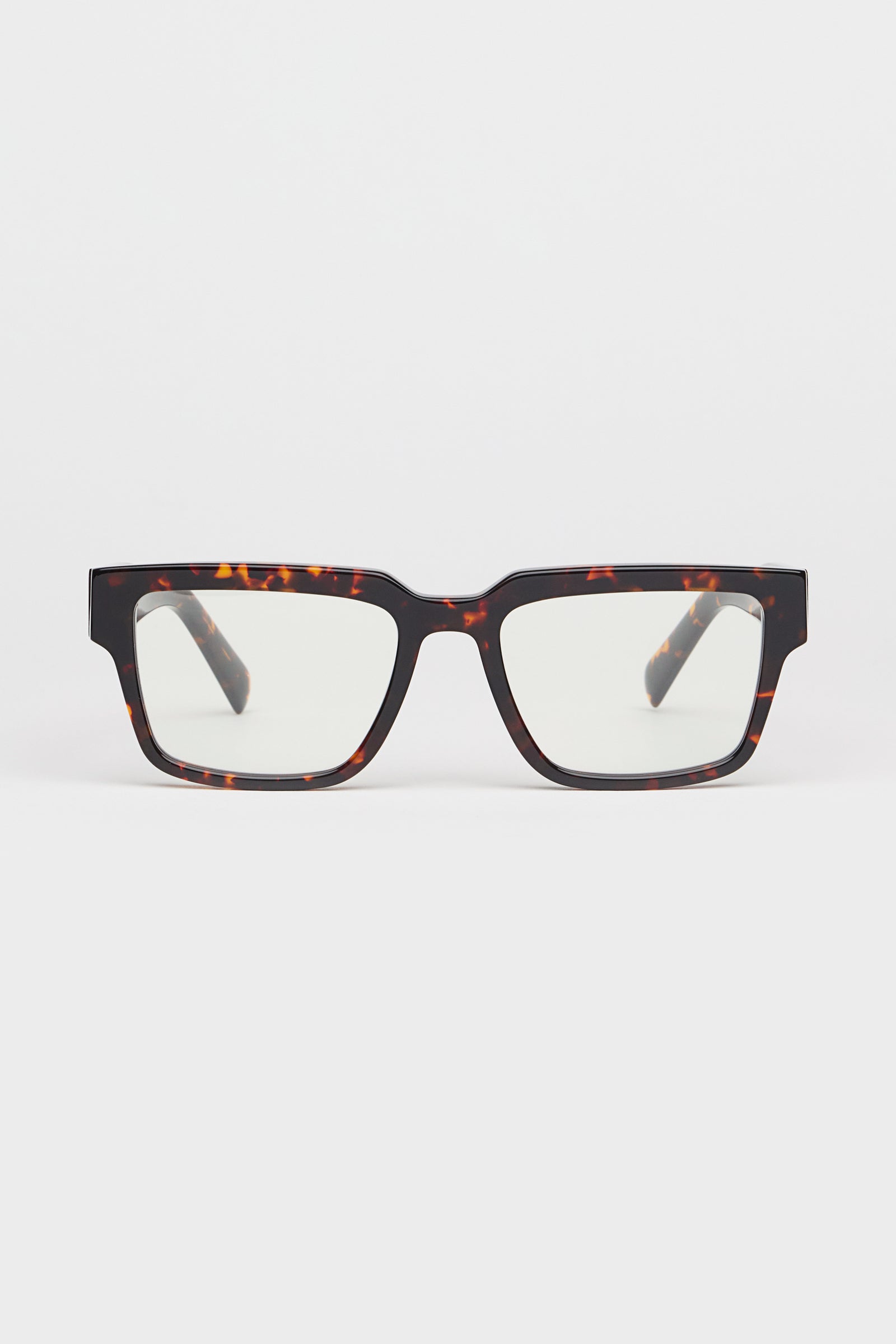 Past Midnight The Frame Tortoise.