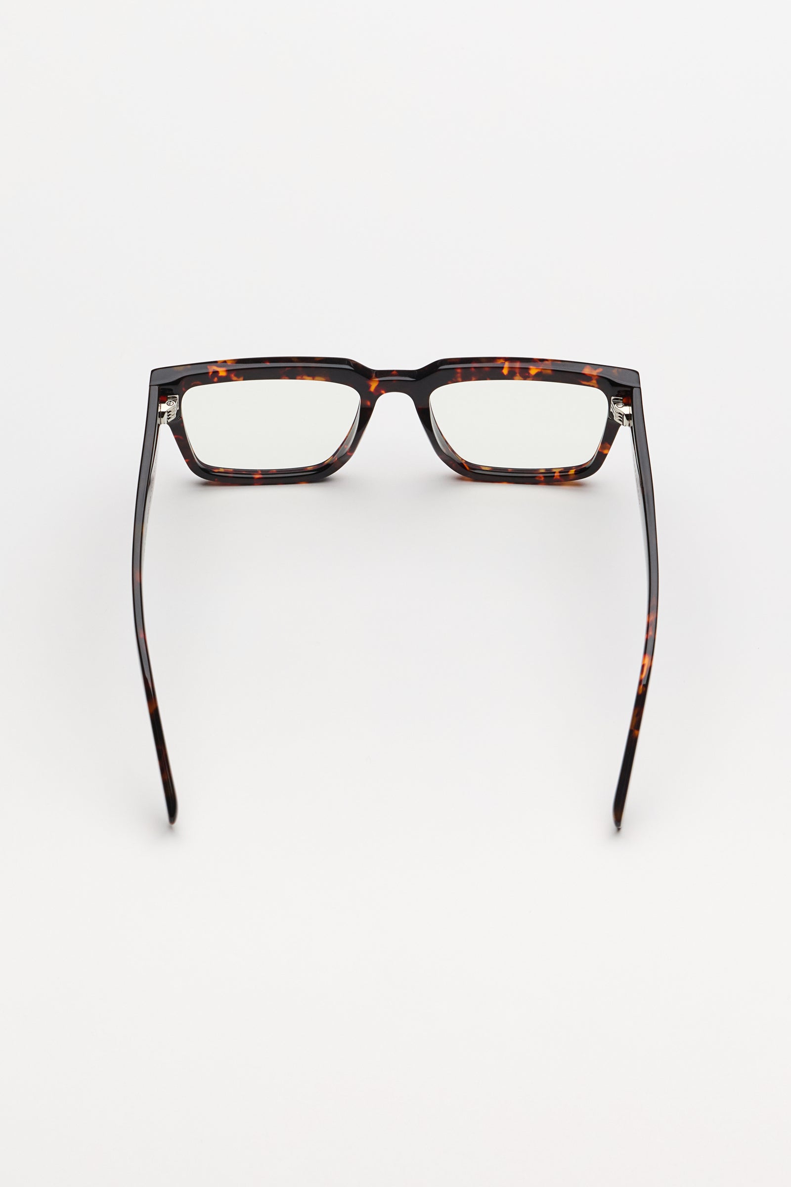 Past Midnight The Frame Tortoise.
