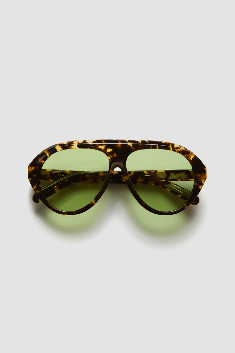 The Icon Tortoise