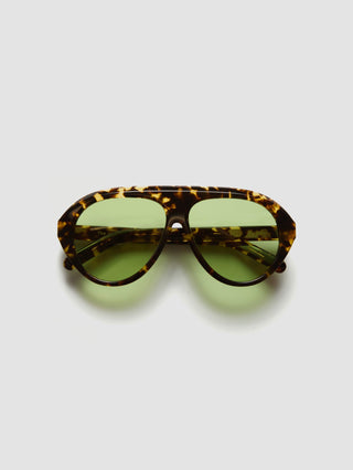 The Icon Tortoise